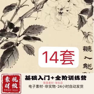 2025马老师国画视频教程14套零基础入门到大师级自学素材文件