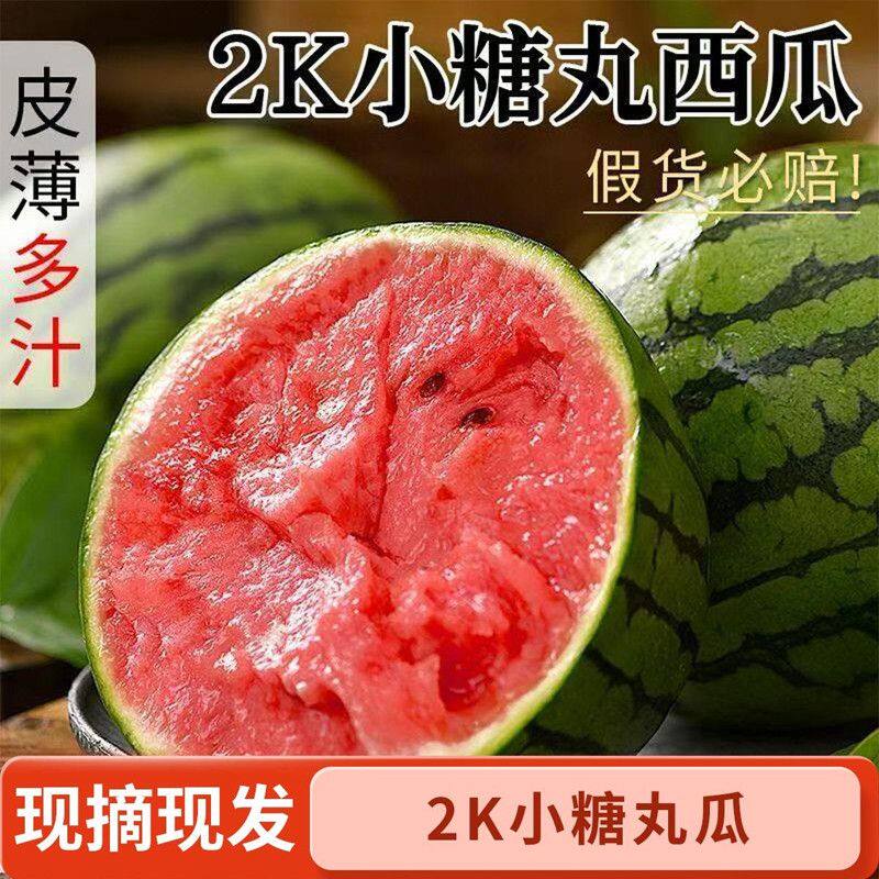 顺丰正宗2K小糖丸小西瓜西瓜新鲜水果当季薄皮手撕小吊瓜红壤一整