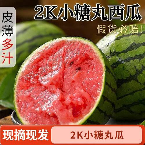 顺丰正宗2K小糖丸小西瓜西瓜新鲜水果当季薄皮手撕小吊瓜红壤一整