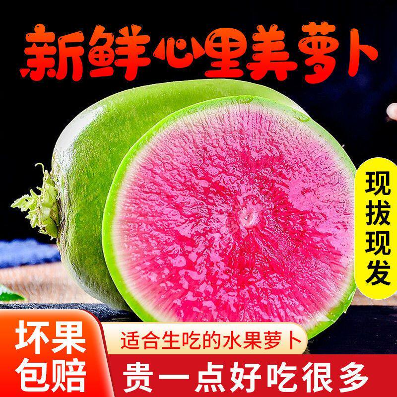 新鲜心里美萝卜胭脂红水果萝卜生吃脆甜泡菜萝卜5斤红心萝卜包邮