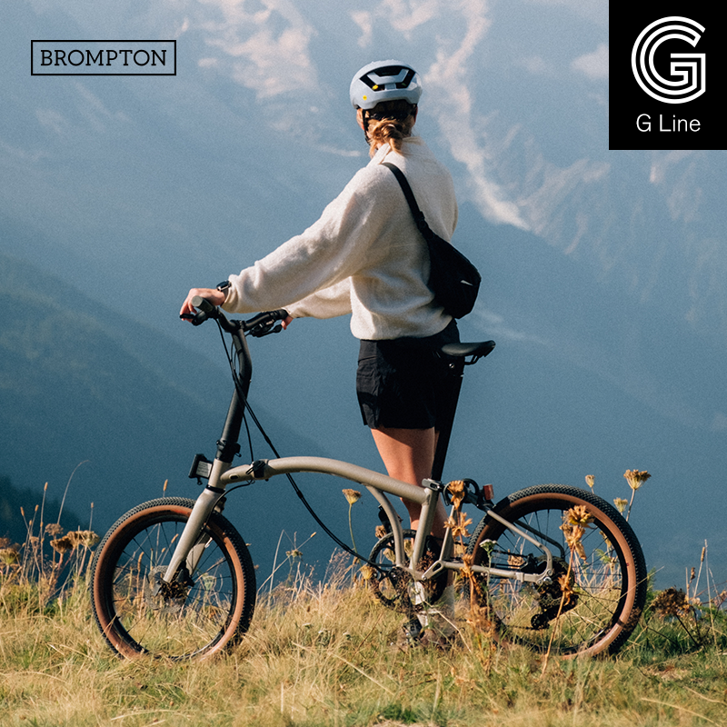 小布折叠自行车8速尘迹白