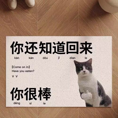 2026新款丝圈免洗蹭土入户地垫
