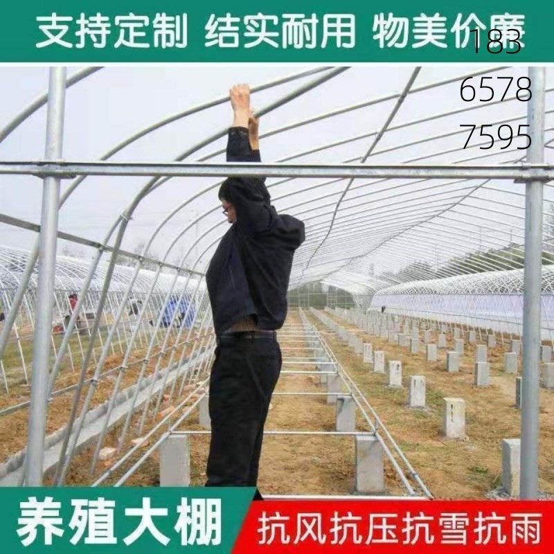 热销温室大棚种植蔬菜棚保温棚养殖猪牛棚椭圆P管家用骨架钢管定