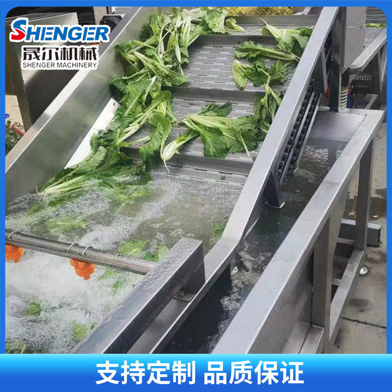 全自动气泡清洗机 叶p类蔬菜清洗设备 韭菜海鲜药材山野菜清洗机