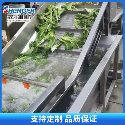 全自动气泡清洗机 叶p类蔬菜清洗设备 韭菜海鲜药材山野菜清洗机