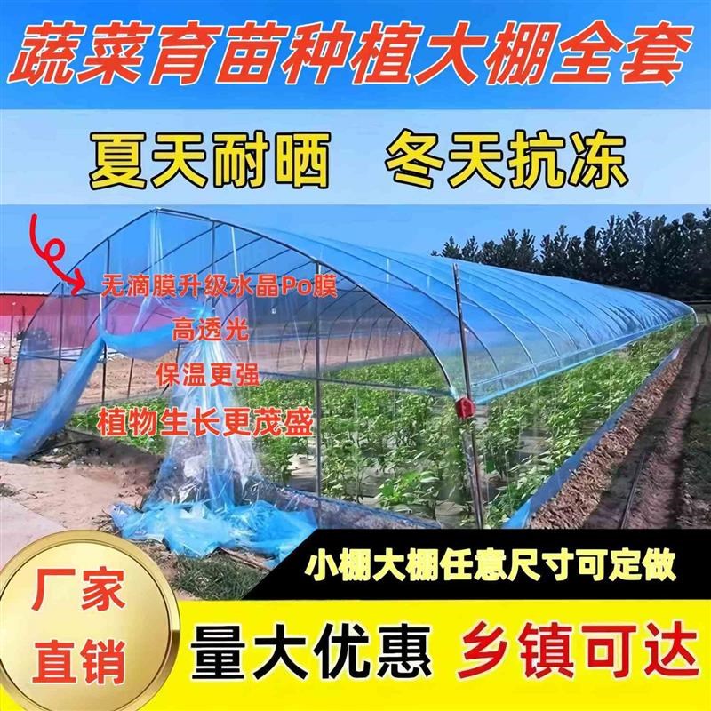 热销种植大棚蔬菜大棚骨架全套家用种菜大棚育苗棚花W卉棚温室大