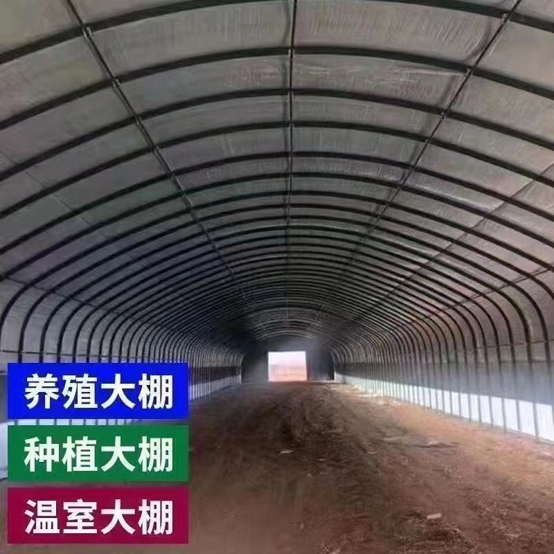 热销蔬菜a种植暖棚大棚骨架温室养殖大棚全套保温养鸡鸭鹅猪牛羊