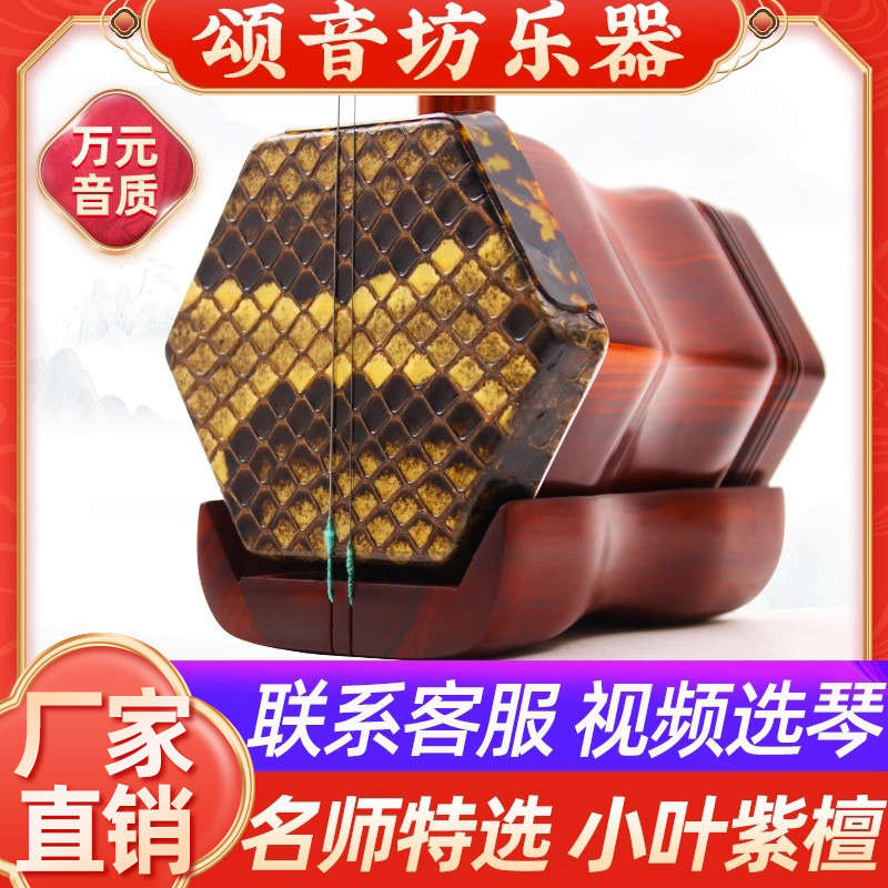 名师特选演奏级二胡