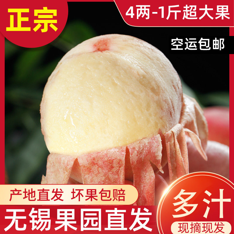 正宗无锡阳山水蜜桃水果新鲜桃子孕妇朝阳白凤湖景日川超大软甜山
