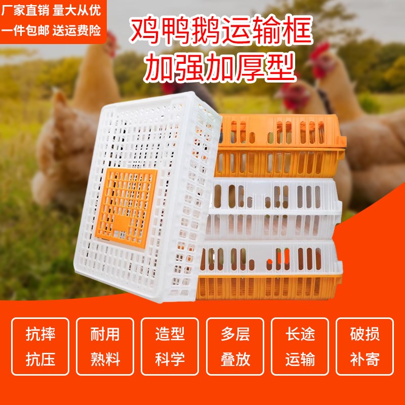 鸡笼运输笼塑料家禽周转箱筐成鸡鸭鹅鸽子笼子兔笼养殖笼家用大号