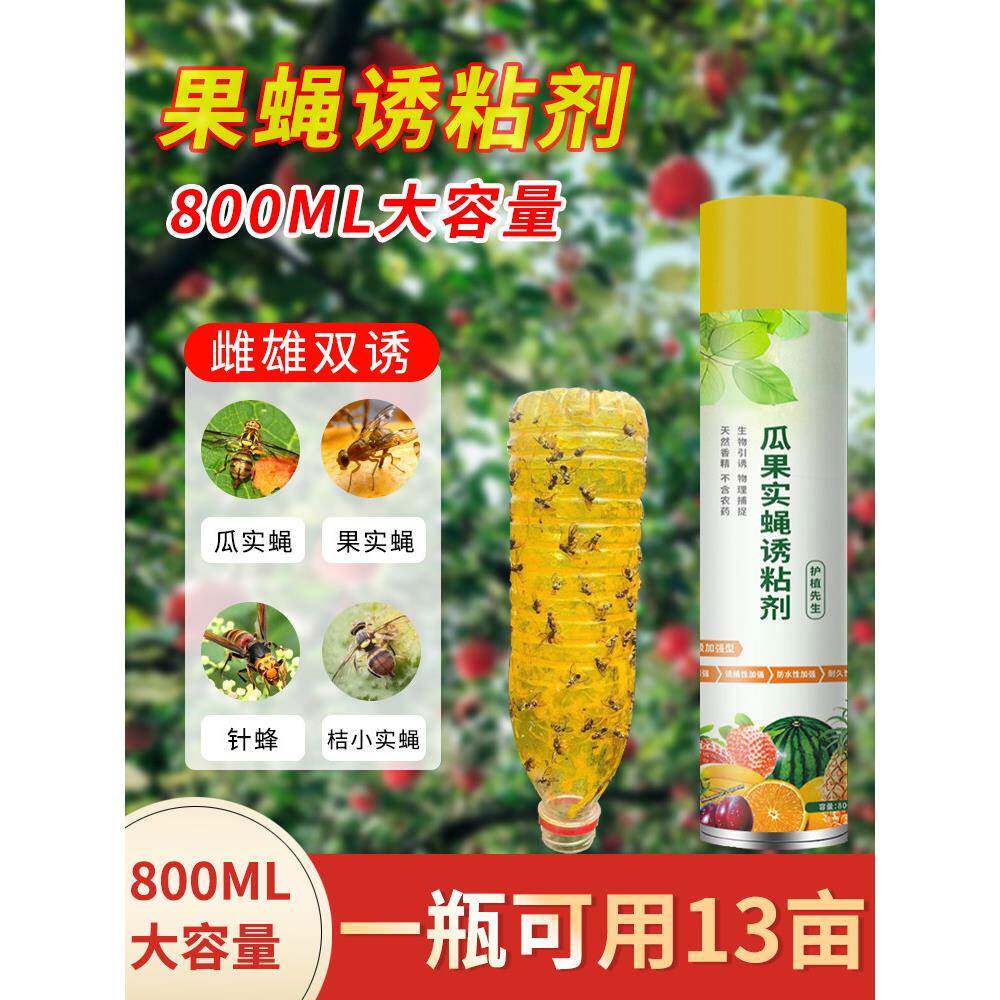 瓜果实蝇诱粘剂果蝇诱捕器昆虫引诱剂神器黄板双面粘虫板灭针蜂药