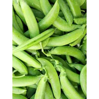 云南新鲜甜豆 现摘现发农家自家种脆甜鲜嫩豌豆碗豆蔬菜带壳食用