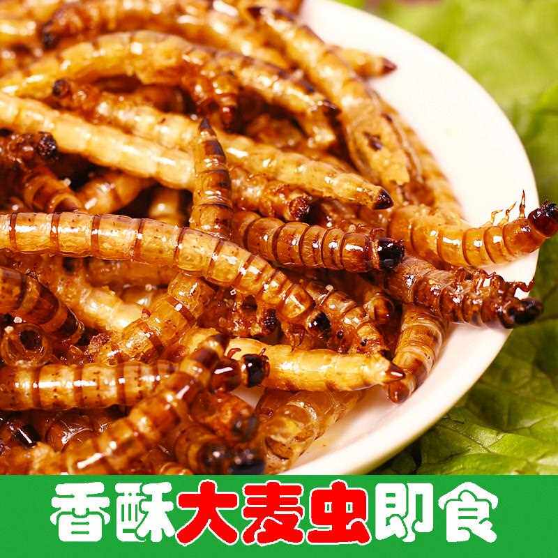 油炸大麦虫虫子美食昆虫食用即食美食香酥可以能吃的烤炸虫子零食