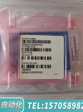 华泰mks流量计 mks流量阀 GE50A013203R3V02