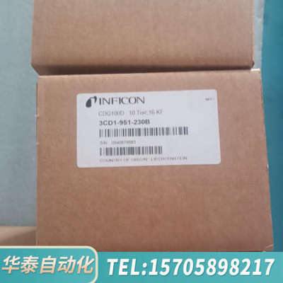 华泰INFICON英福康CDG100D真空计，10 Torr