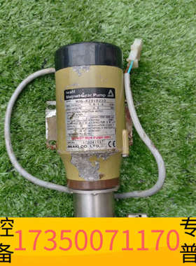 华泰易威奇齿轮泵 型号MDG-R2BVB230