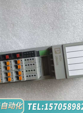 华泰Axioline模块，型号AXL F RTD4 1H