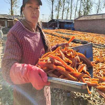 农家自晒无糖硬有嚼劲软糯原味地瓜干红薯干番薯干白薯干
