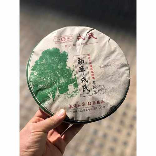 母树茶普洱生茶2015年冰岛古树茶500克饼茶