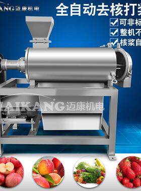 商用糖橘去砂核机动 全自浆杨桃打浆设备 不锈钢浆YVB渣分离打机
