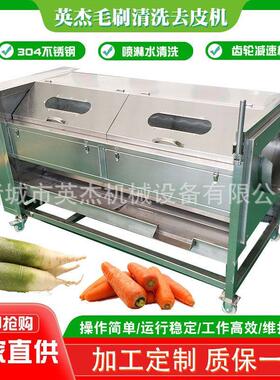 全自动豆毛刷清 洗去皮机不锈钢MAGA-102头清洗设芋备土 多功能洗