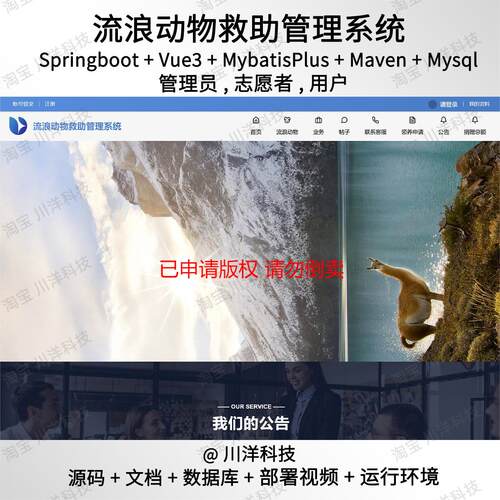 springboot vue3流浪动物领养管理系统java源码送部署视频文档