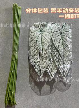 单饰片仿真萝叶龟背叶物X-05绿家居客厅植摆件婚庆假花装跨境绿植