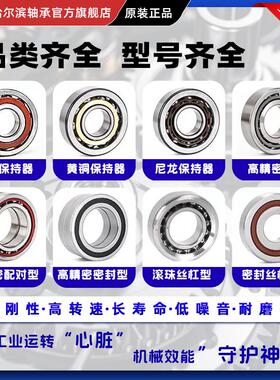 ZXRZ哈尔滨双列角接触轴承3300 3301 3302 3303 3304 3305 3306RS