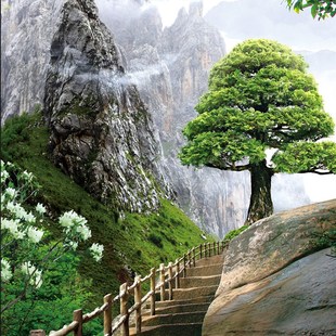 精选8D立体玄关过道走 廊黄山风景画迎客松小道定制背景墙纸壁纸