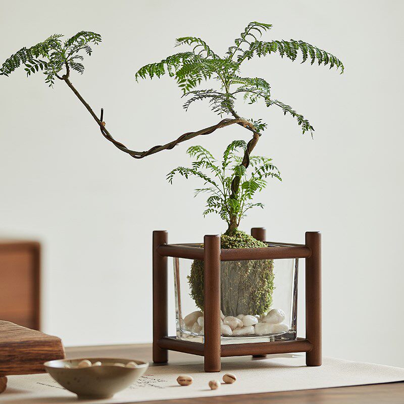 茶室装饰花几桌面迷你水培植物固定架多层茶杯架茶具收纳展示架子