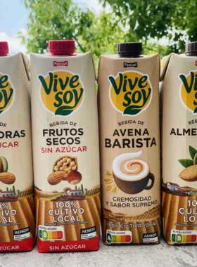 Pascual Vive soy帕维麦扁桃仁植物奶咖啡大师燕麦奶植物蛋白饮料