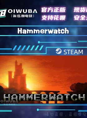 PCsteam正版游戏 铁锤守卫 Hammerwatch 国区激活码CDK CDKEY