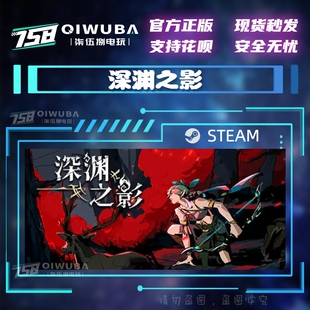 PC中文steam正版 激活码 深渊之影 国区俯视角动作游戏 CDK