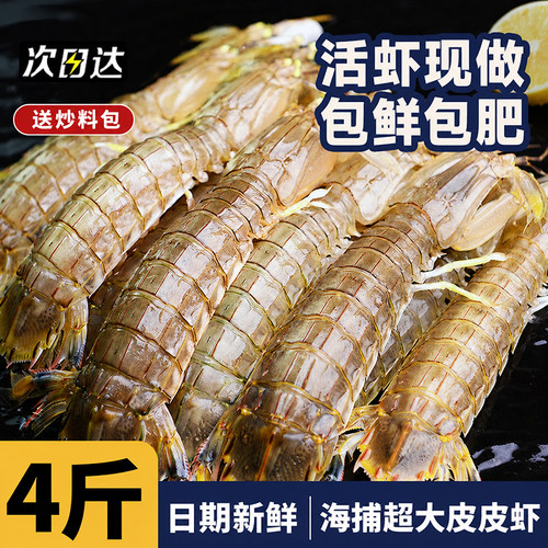 皮皮虾鲜活冷冻特大虾熟冻即食虾