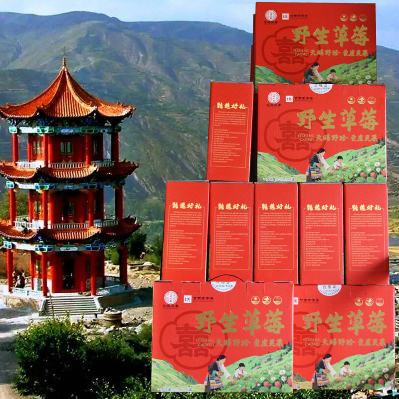 岷县野草莓罐头甘肃特产小吃定西陇南的家乡瓢子当地有岷县点心 - 实物图