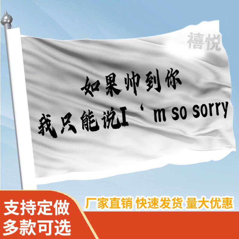 如果帅到你我只能说I'm so sorry旗帜定做登山旅行爬山旗子可签名