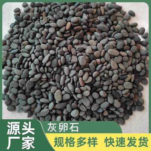 灰色鹅卵石厂家供应抛光铺路灰色石子庭院枯山热敷豆石振洗卵