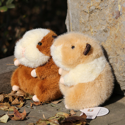 跃娃荷兰猪毛绒玩具豚鼠生日礼物