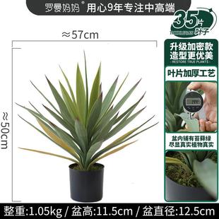 仿真绿植龙舌兰盆栽多肉植物造景装饰橱窗落地客厅景观