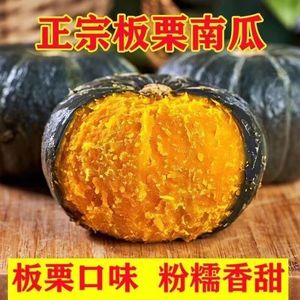 小果贝贝南瓜 正宗贝贝板栗南瓜孕妇宝宝辅食新鲜蔬菜贝贝小南瓜