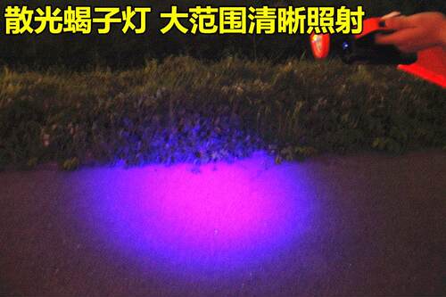 超亮折叠式蝎子灯养殖专用紫光手电筒蝎子用豆虫强光充电手提