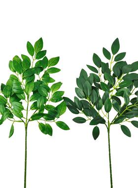 仿真植物假树豆花树叶3叉槐叶子花豆叶DI树XRB-326Y背景叶墙装饰