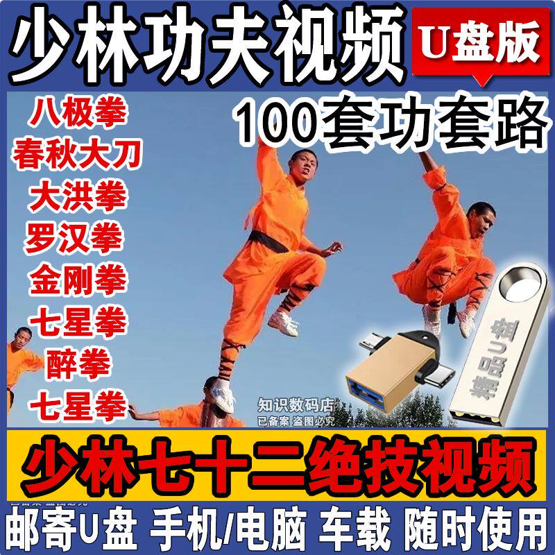 【48小时发货】少林功夫教程U盘武术教学八极金刚拳基本功擒拿格