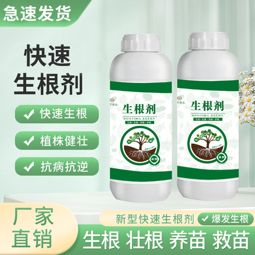 速发壮个老头生根剂根树移栽扦插发根营养强力生根粉生果八苗剂通