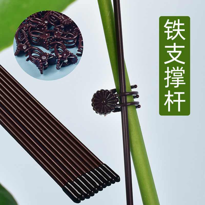 速发兰花支撑架防蝶花支架兰架子花卉植物支撑杆爬藤造型固定架蝴