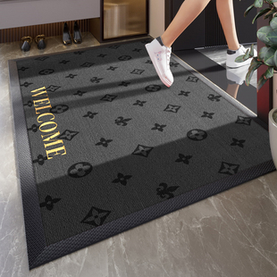 入户门地垫轻奢高级感防滑免洗进门脚垫门口别墅黑色除尘耐脏地毯