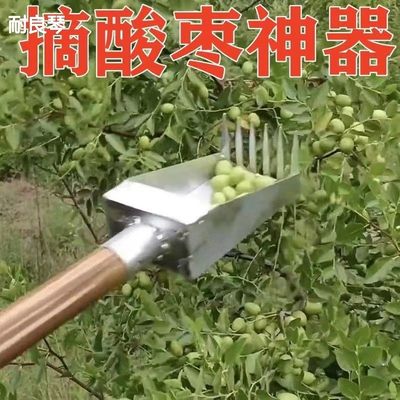 加厚不锈钢摘酸枣神器工具摘山果山枣小枣摘果器摘小果栗子枣工具