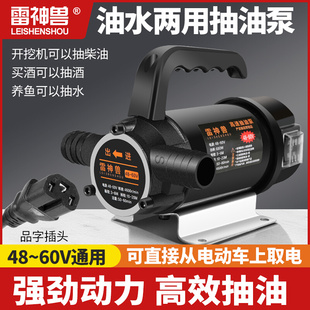 油水两用抽油泵抽水泵12V24V48V60V220V伏直流高压水泵浇菜神器