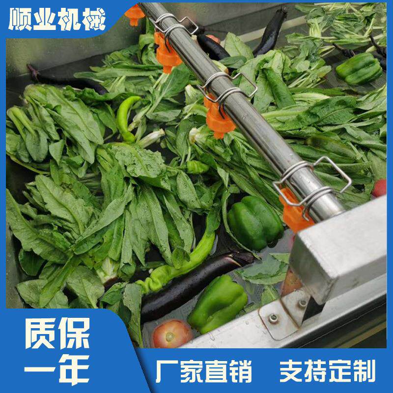 蔬气泡清洗QFN机不锈清钢洗多功果能黄桃苹果哈密清瓜果蔬洗机枸