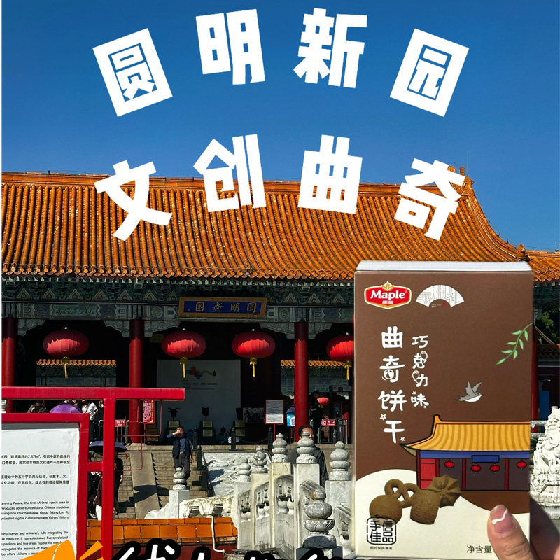 香港枫叶曲奇巧克力曲奇奶酪味饼干蛋卷核桃酥凤梨酥零食手信送礼